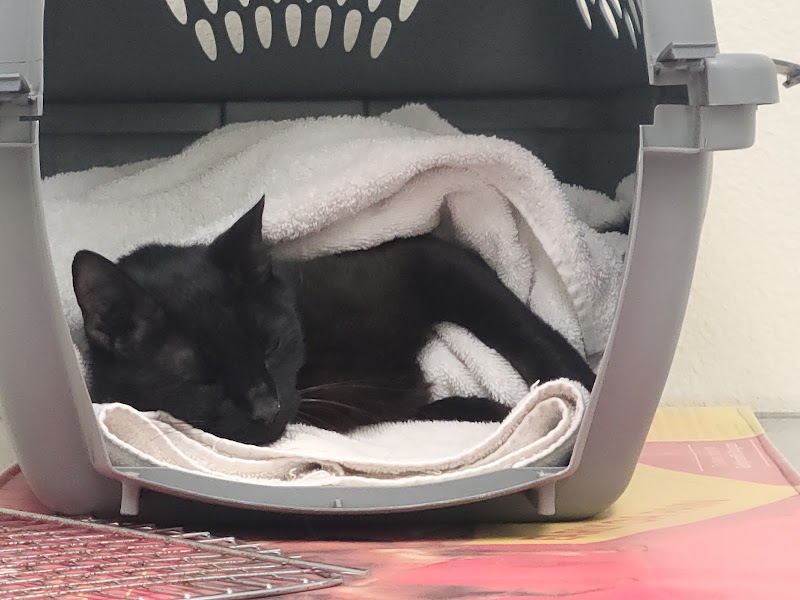 Photo of Animal Medical Center of Brooksville