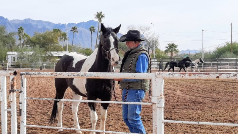 Rocking K Stables LLC photo 4