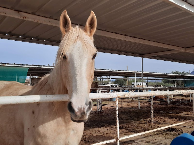 Rocking K Stables LLC photo 3