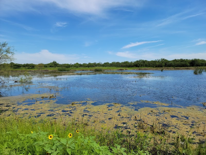 Santa Ana National Wildlife Refuge photo 4
