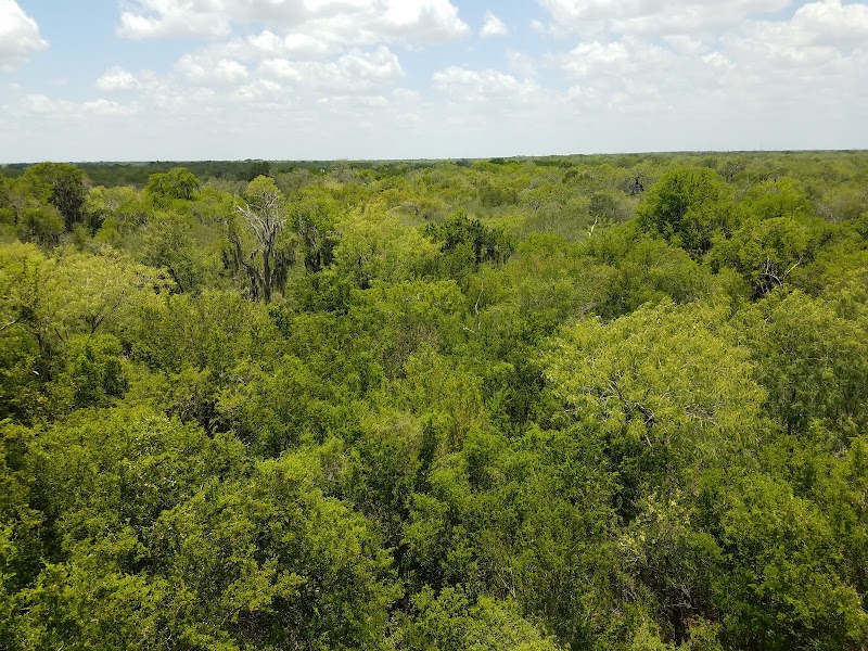 Santa Ana National Wildlife Refuge photo 5