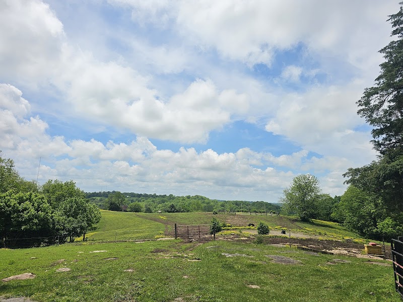 Deer Run Stable photo 4