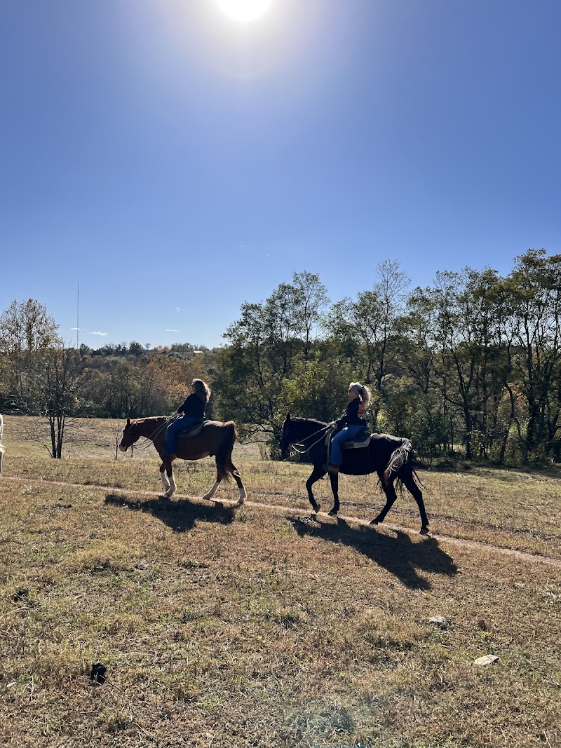 Deer Run Stable photo 5