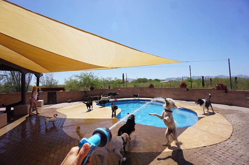 Photo of Tucson Adventure Dog Ranch