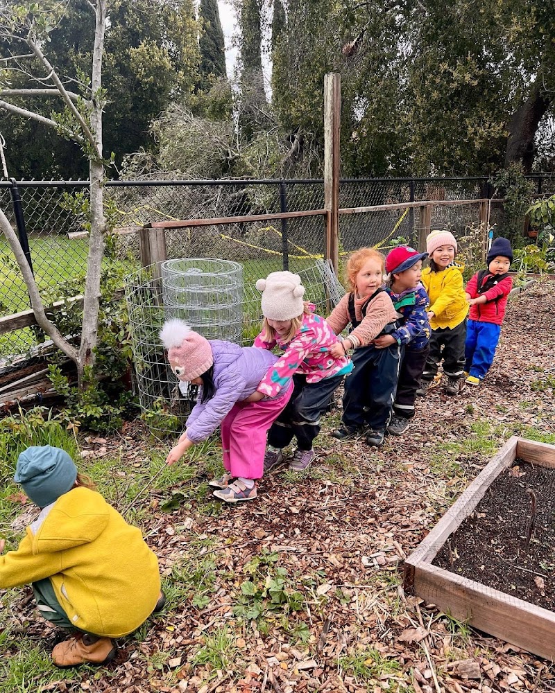 Photo of Country Day Little School