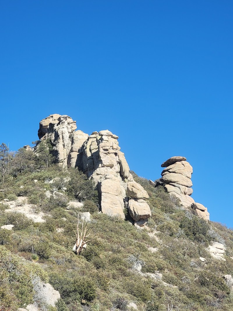 Picacho Peak Saddle photo 3
