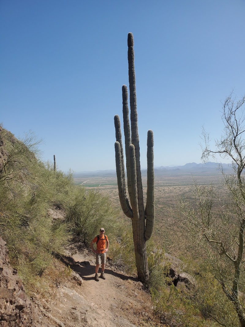 Picacho Peak Saddle photo 5