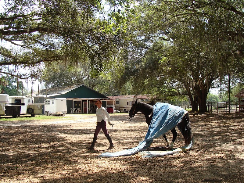 Glover's Stables photo 5
