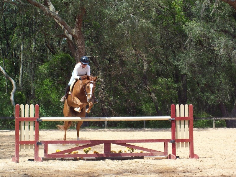 Glover's Stables photo 4