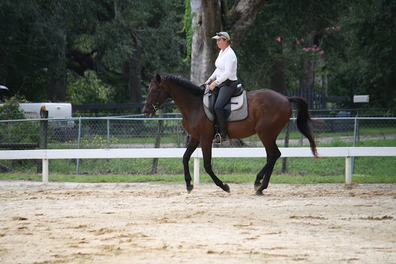 Glover's Stables photo 2