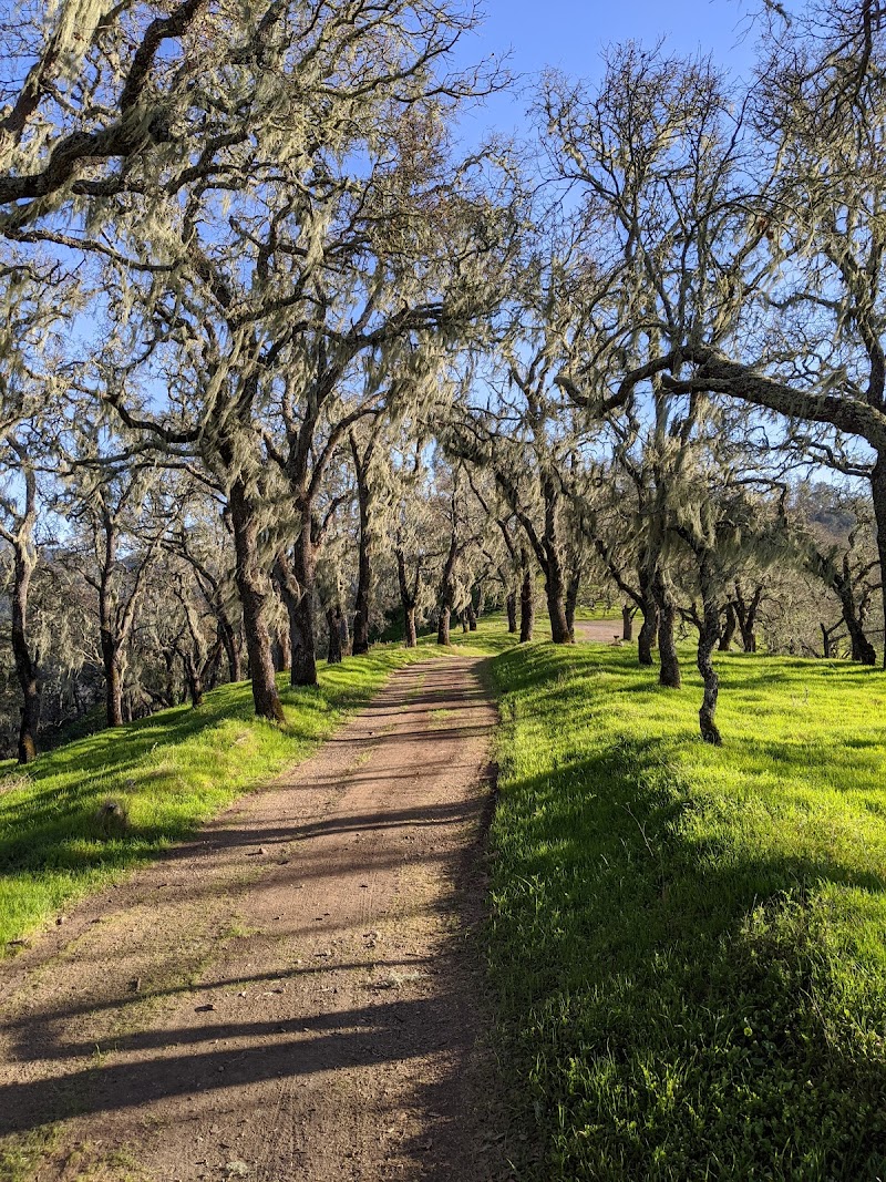 Napa County Regional Park District - Lake Hennessey City Recreation Area photo 5