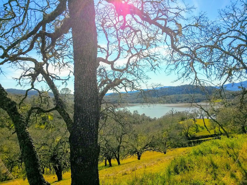 Photo of Napa County Regional Park District - Lake Hennessey City Recreation Area