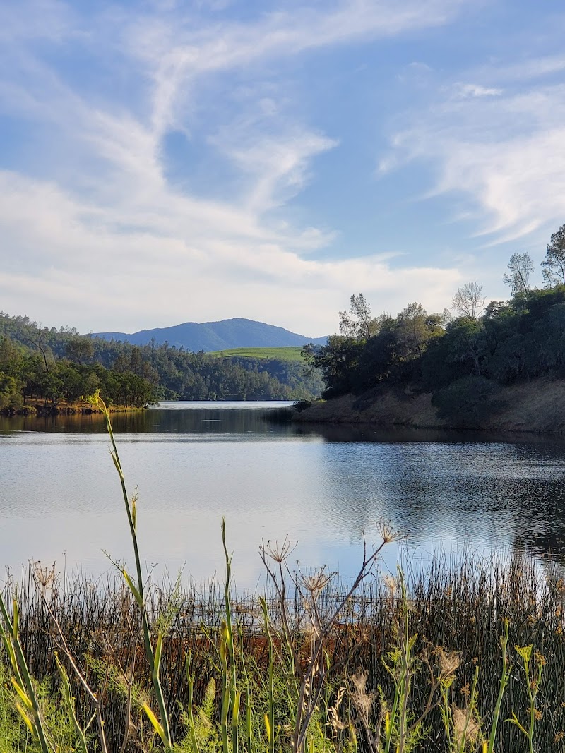 Napa County Regional Park District - Lake Hennessey City Recreation Area photo 4