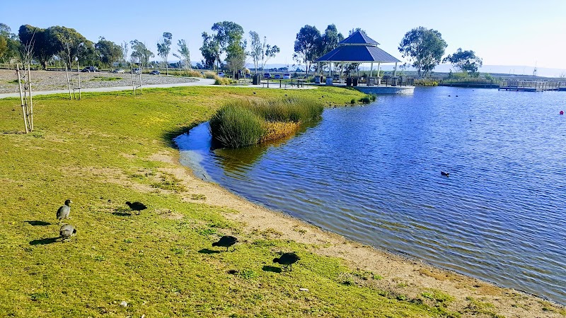 San Lorenzo Community Park photo 4