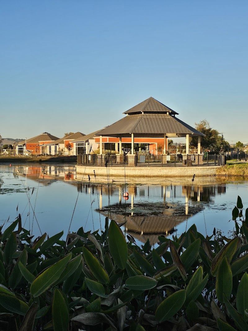 San Lorenzo Community Park photo 2