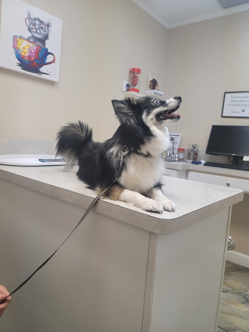 Advanced Veterinary Care of Pasco photo 2