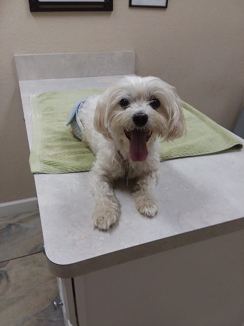 Photo of Advanced Veterinary Care of Pasco