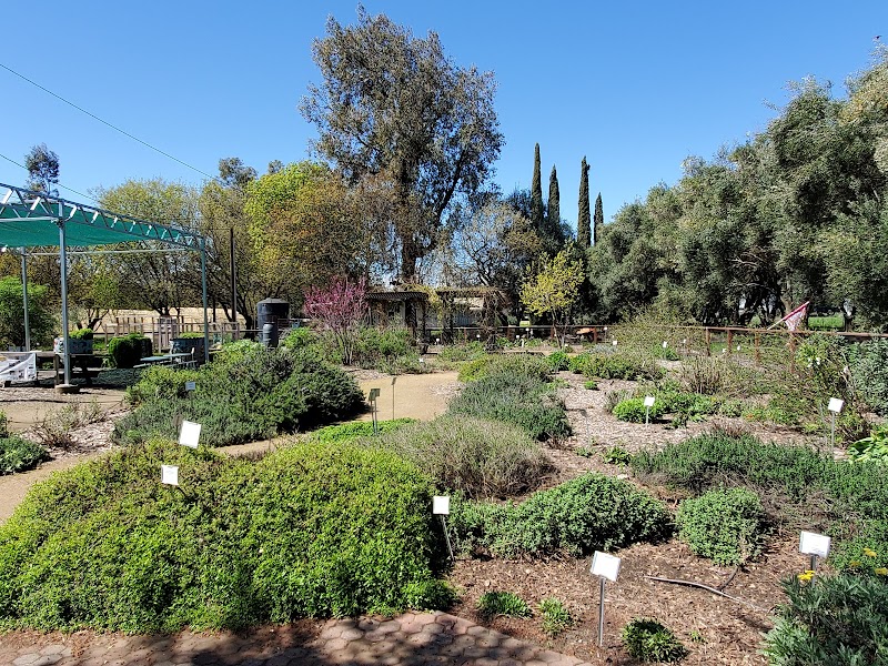 Photo of UC Davis Bee Haven