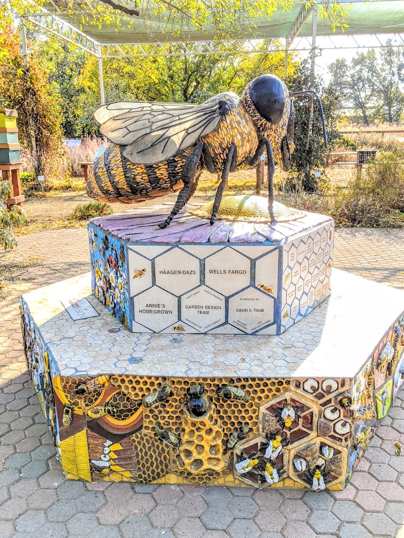UC Davis Bee Haven photo 4