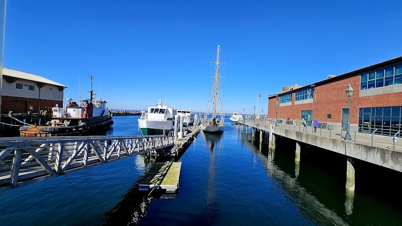 Bellingham Cruise Terminal/Ferry Terminal photo 3