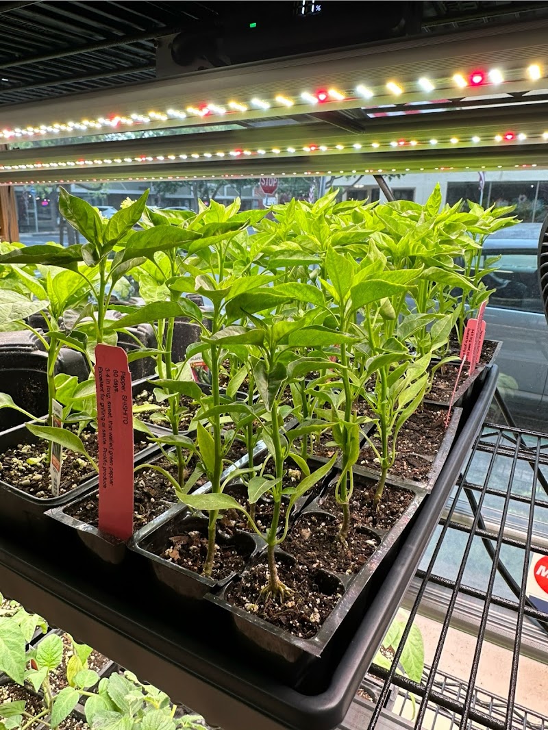 Plantarium photo 3