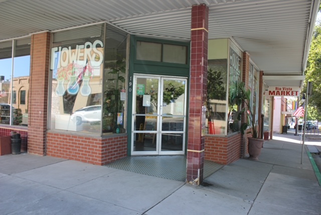 Photo of Plantarium