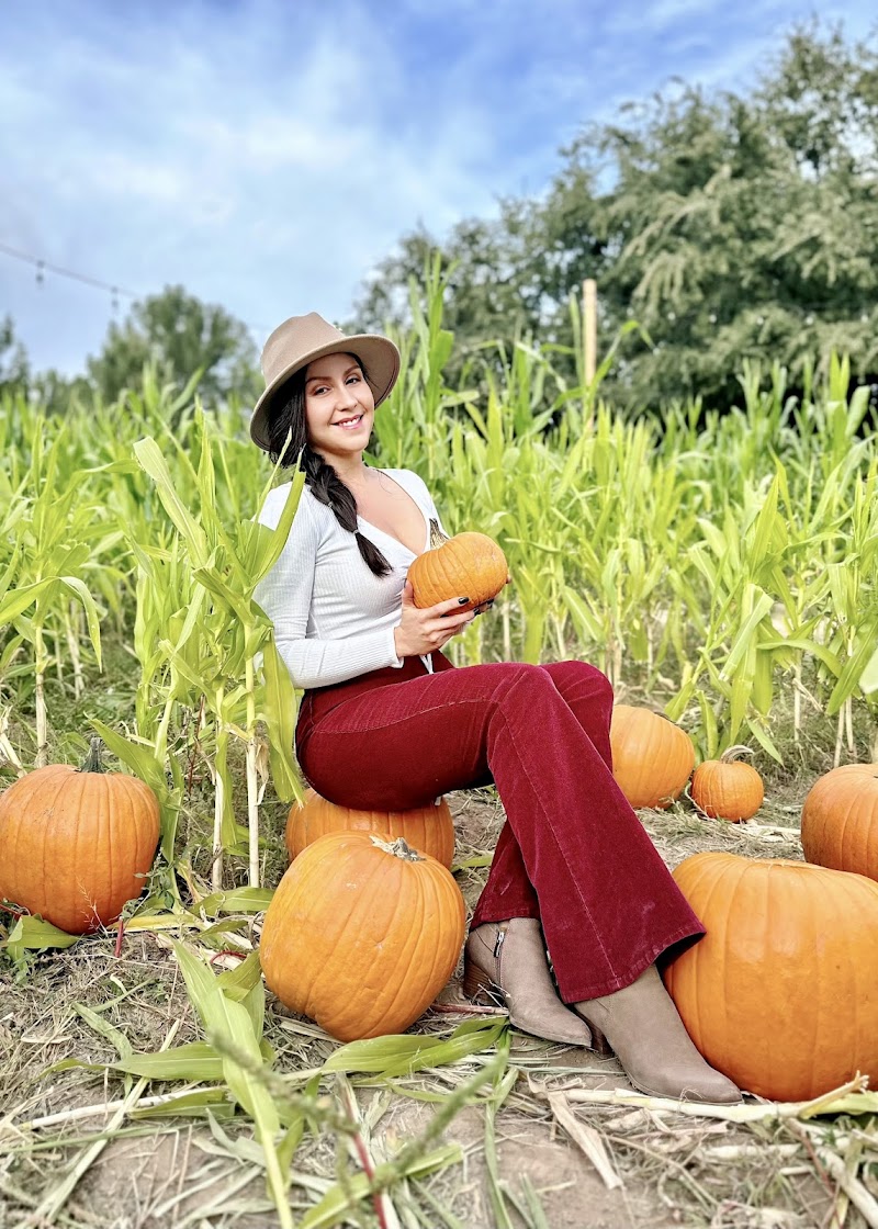 Schnepf Farms photo 2