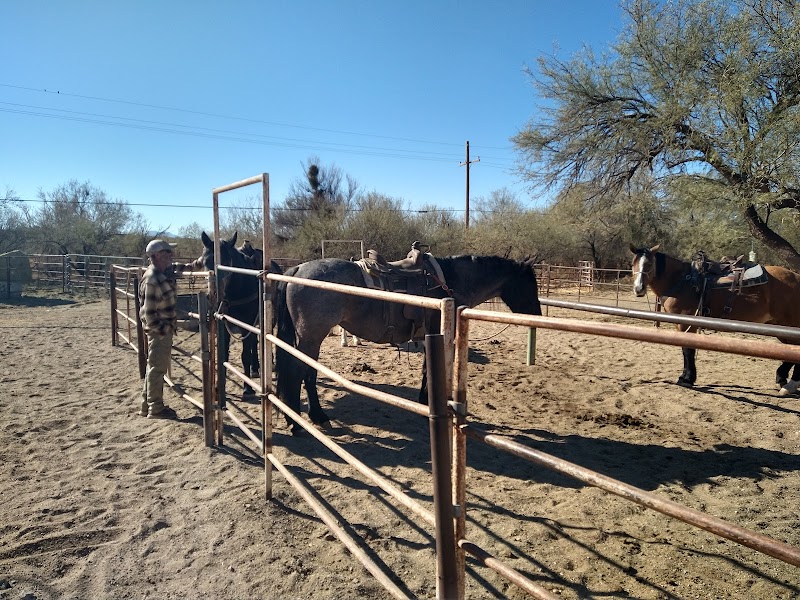 Saguaro Stables photo 2