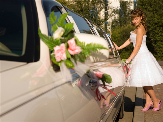 LuxStar Limousine and Airport Shuttle Services photo 4