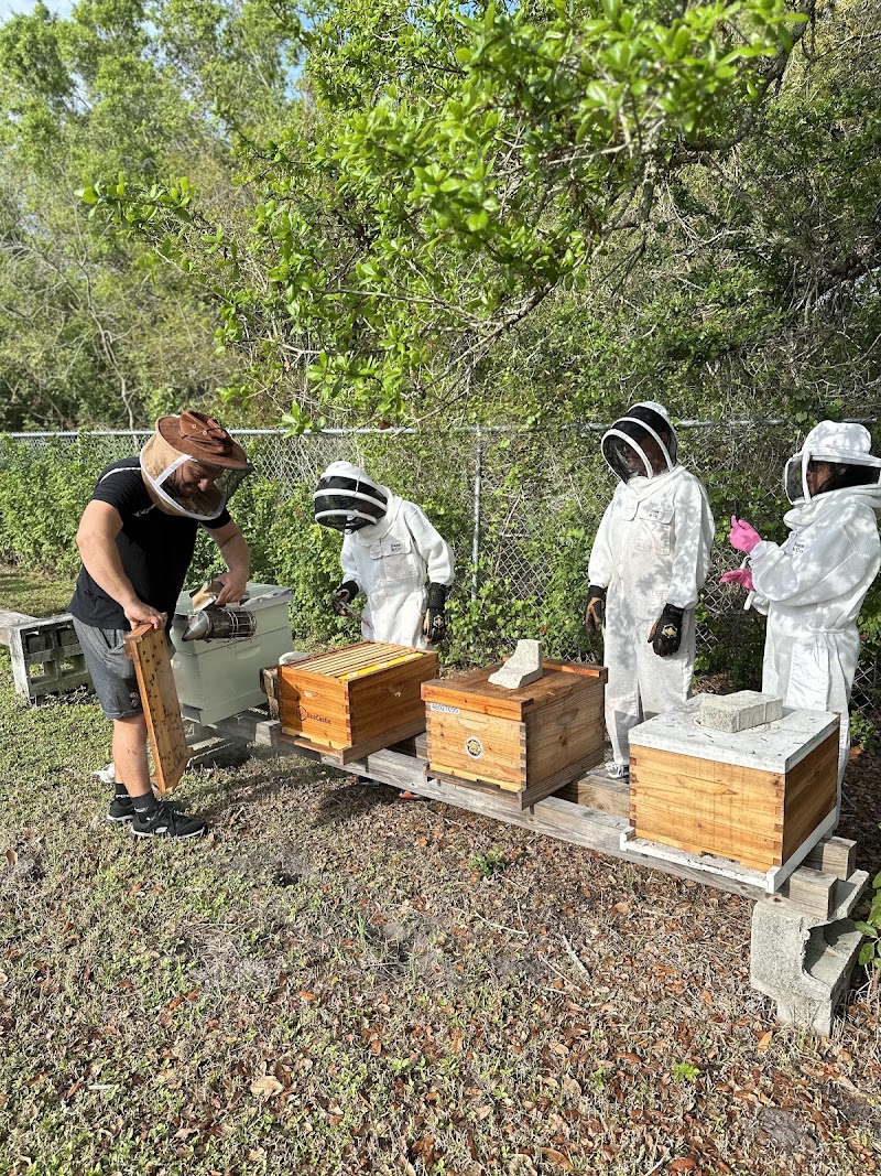 Seminole Bee Farms LLC photo 3