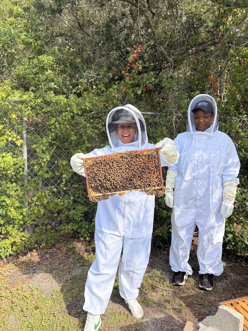 Seminole Bee Farms LLC photo 5