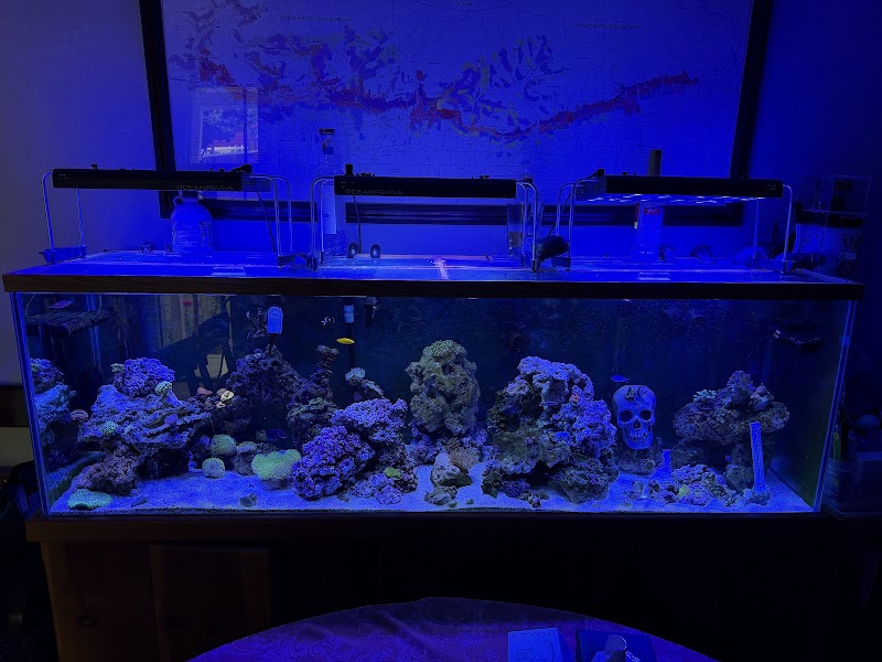 Wine Country Corals photo 5