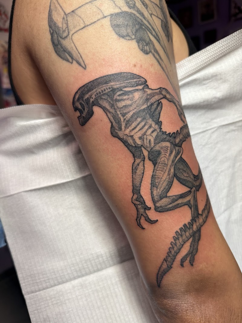 Photo of Sugar Plum Tattoo