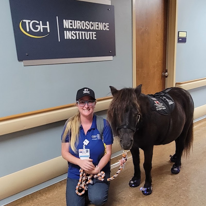 Honey's Mini Therapy Adventures photo 2