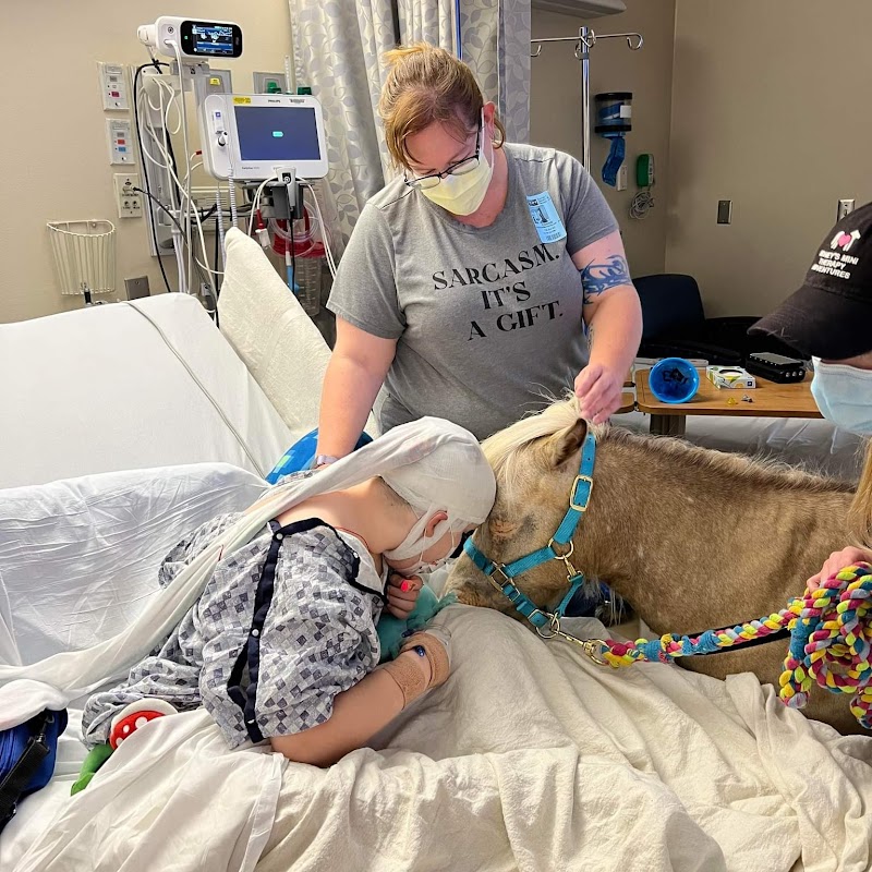Honey's Mini Therapy Adventures photo 3