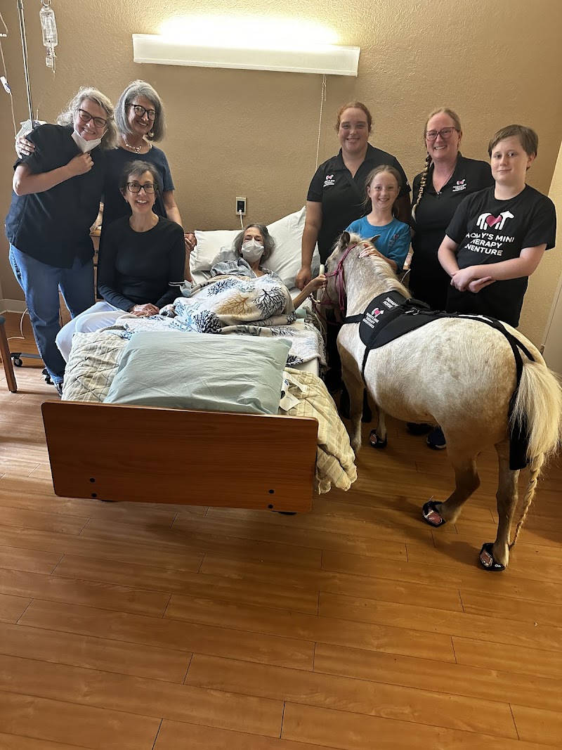 Photo of Honey's Mini Therapy Adventures