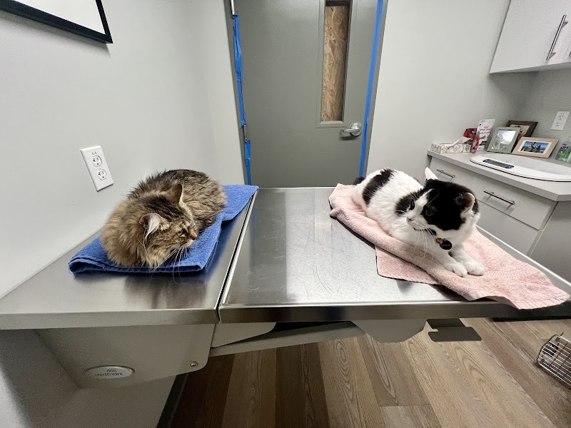Fairfax Veterinary Clinic photo 5