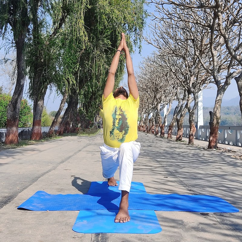 Coastside Yoga Collective photo 5