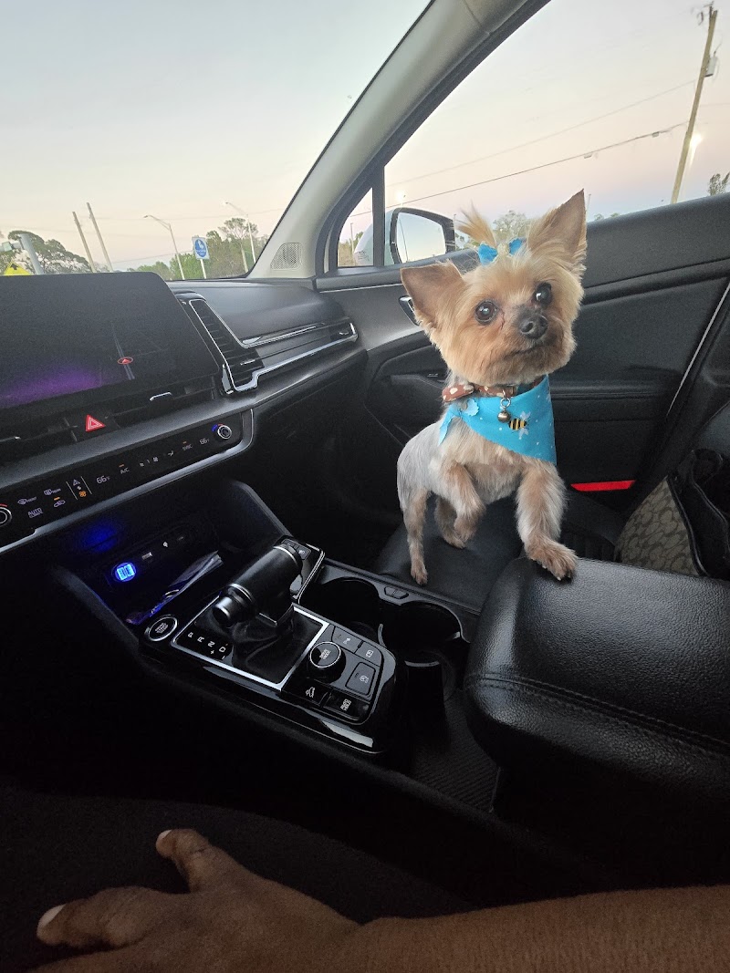 Pet Styles by Stacie photo 4