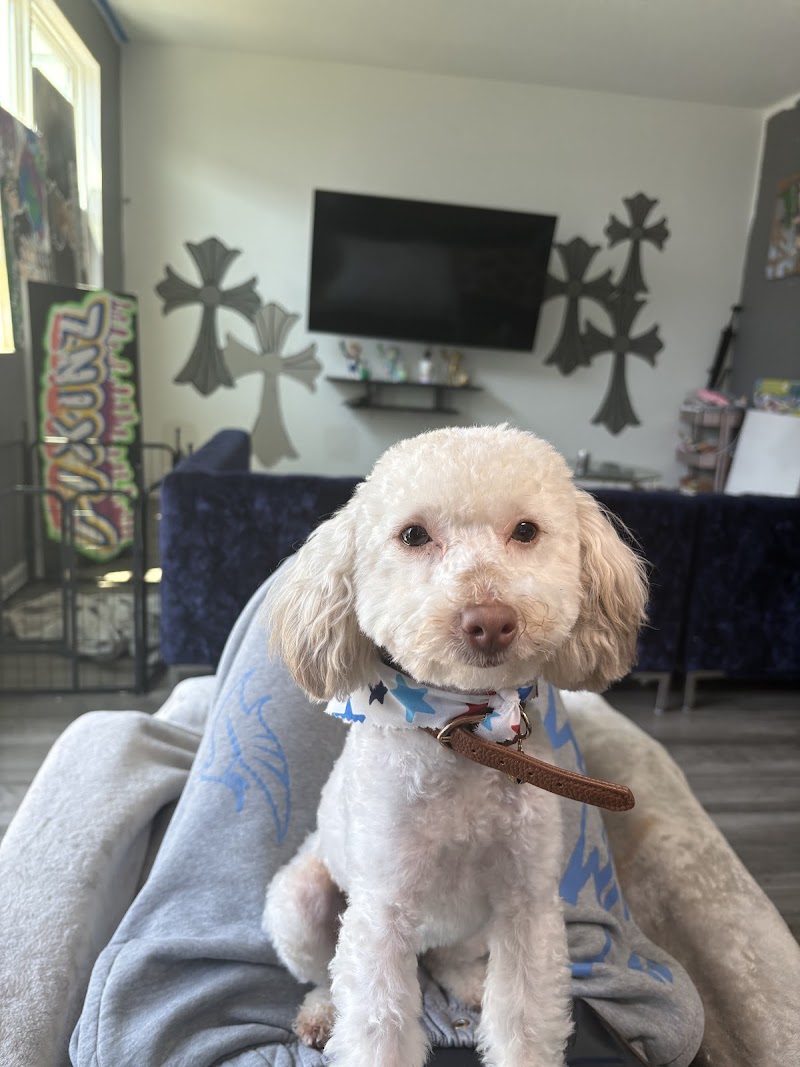 Photo of Pet Styles by Stacie