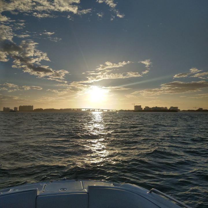 Flying Pelican Tours photo 3