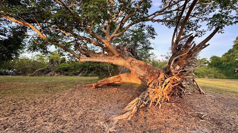 Photo of Harbor Palms Nature Park