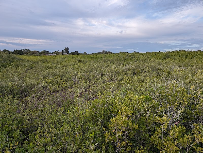 Harbor Palms Nature Park photo 5