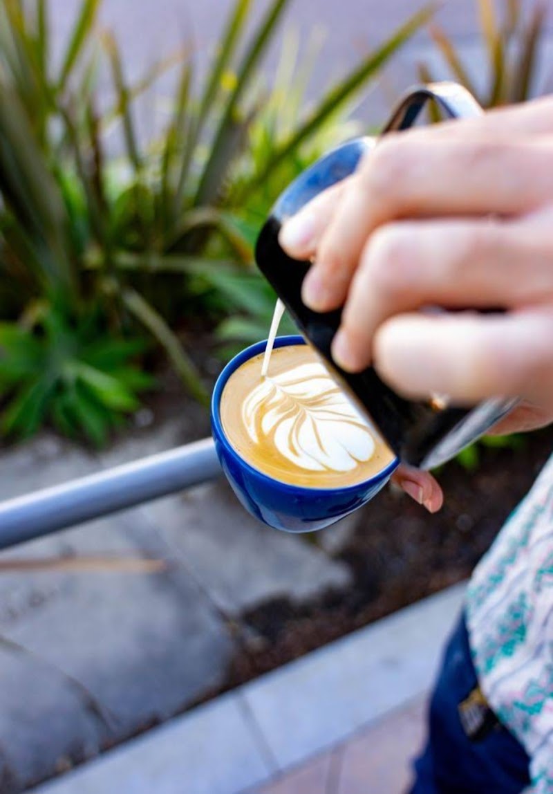 Endless Quest Roasters photo 5