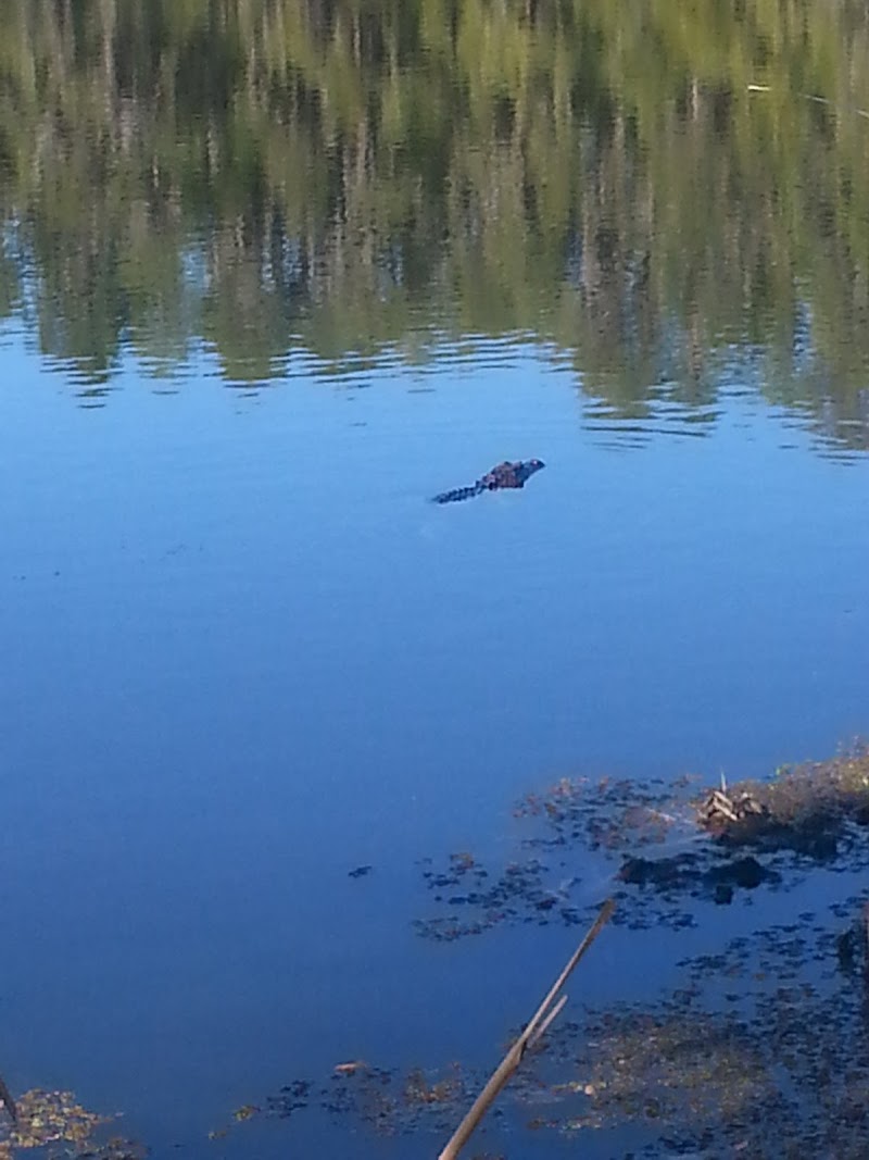 Photo of Nature's Reserve Homeowners