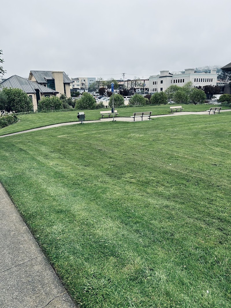 Daly City - City Hall photo 3