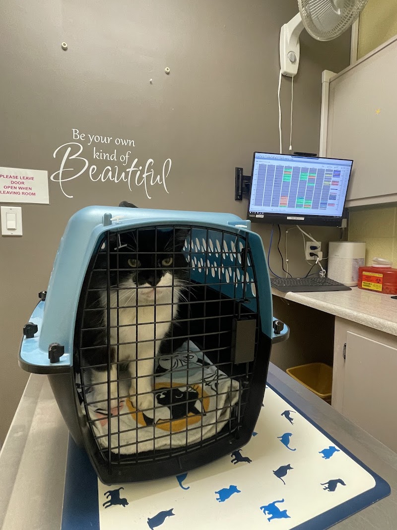 Eden Pet Hospital photo 2