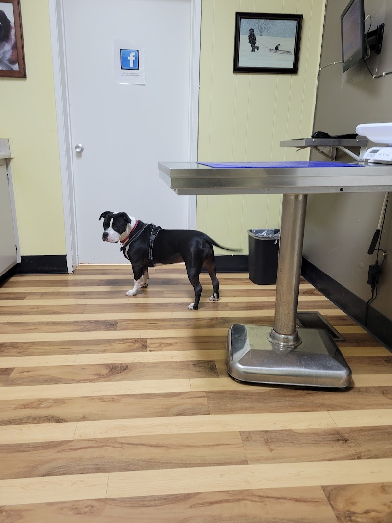 Eden Pet Hospital photo 3