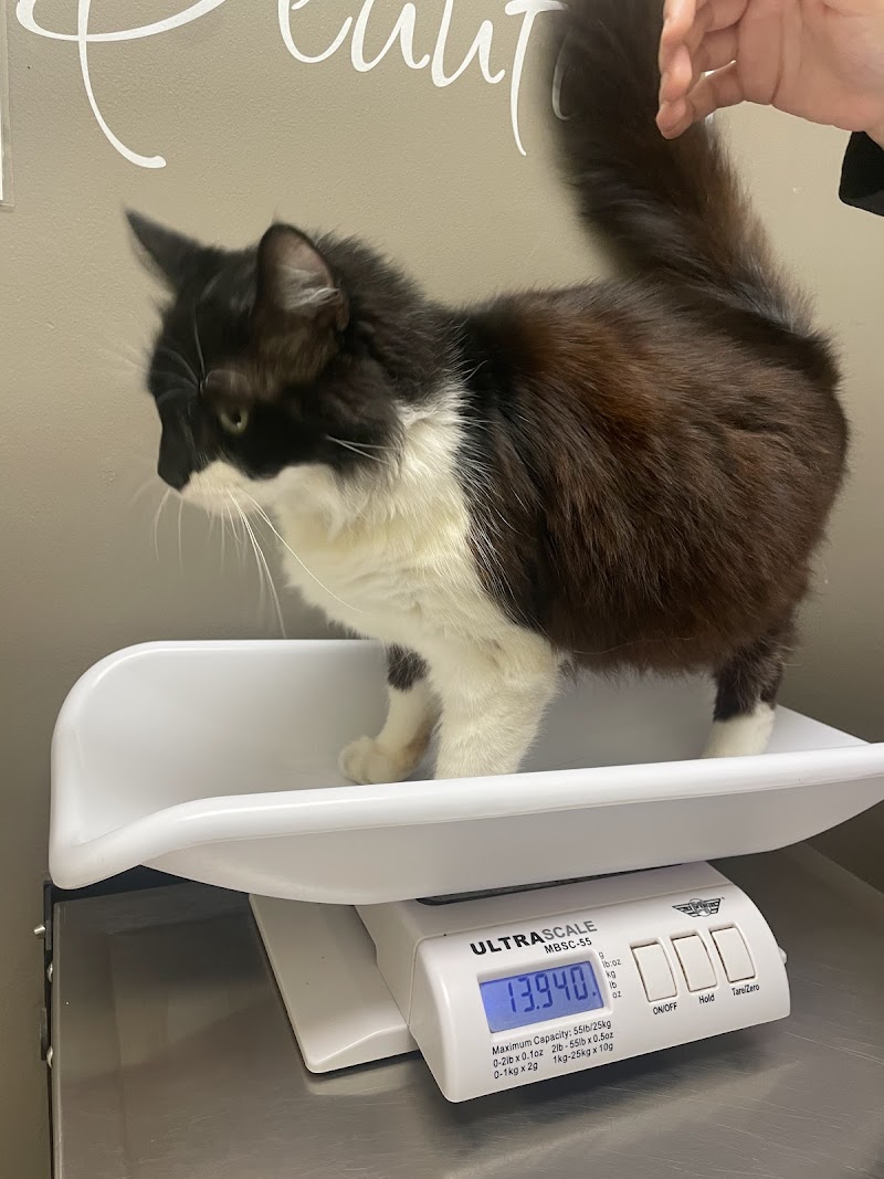 Photo of Eden Pet Hospital