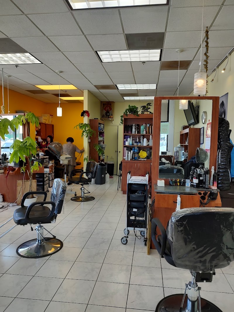 Photo of Hair Designers